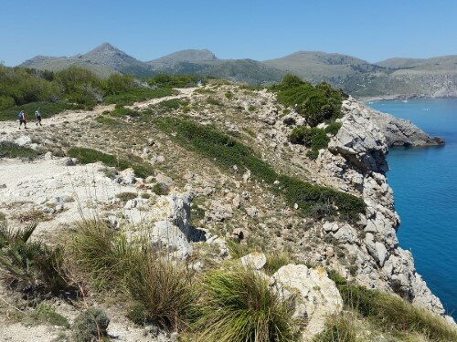 Way from Tower d'Aubarca to S'Arenalet d'es Verger