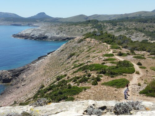 Way from Tower d'Aubarca to Cala Mitjana