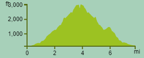 elevation profile