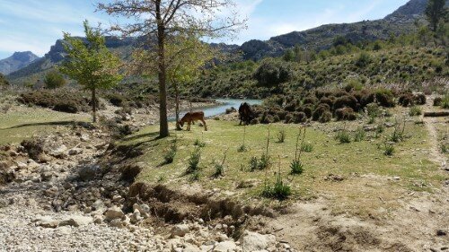 Fin del embalse de Cúber