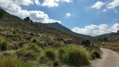 Way with Puig de L'Ofre at the background