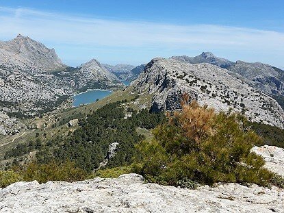 Puig de L'Ofre