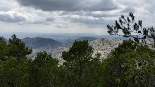 View to Palma on the way to the top