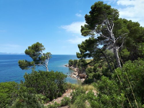 Vista al mar de camino a Es Caló