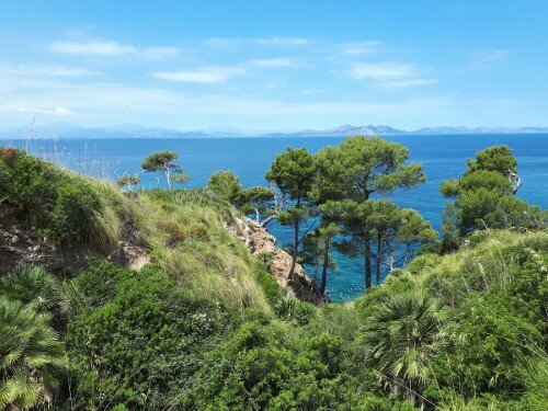 View to the Pollensa bay