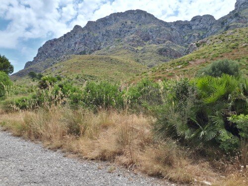 Views to the mountains on the way to Es Caló