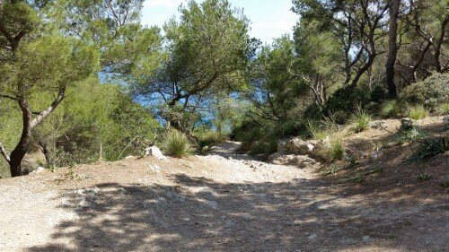 Weg zur Playa Coll Baix