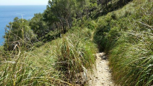 Way to Playa Coll Baix